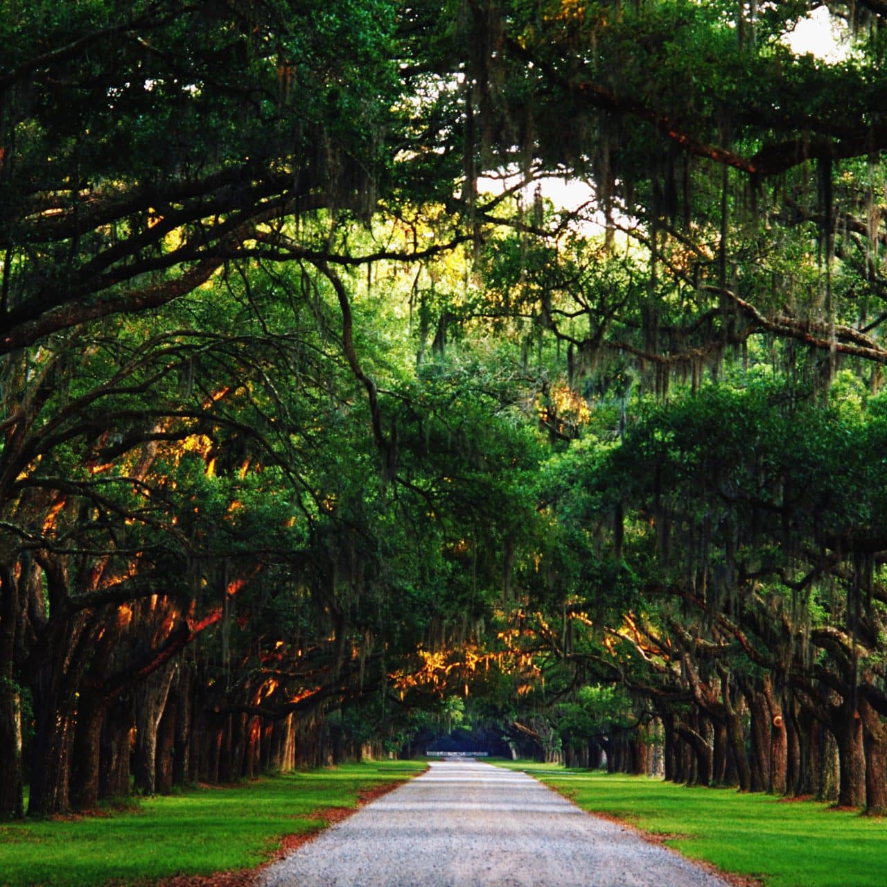 برنامج سياحي في لبوتا 10 ليالي 11 يوم