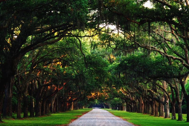 برنامج سياحي في لبوتا 10 ليالي 11 يوم