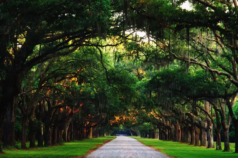 برنامج سياحي في لبوتا 10 ليالي 11 يوم