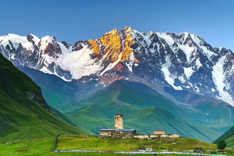 جورجيا 8 ليالى